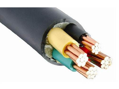 1kV޴ѵ